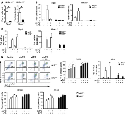 Figure 4. NRF2 mediates the immune-modulatory effects of 12/15-LO–derived oxidized phospholipids