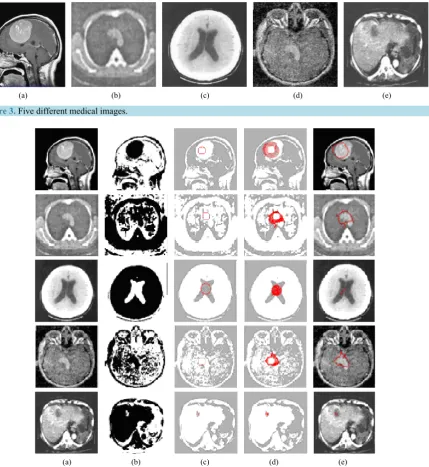 Figure 3. Five different medical images. 