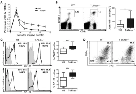 Figure 9. mTORC2 inhibition does not hinder CD8+cytes was determined by flow cytometry