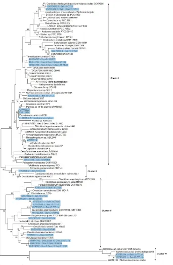 Figure 6. Phylogenetic tree ofsequences recovered from DNA samples, including those previously identiﬁed and the newly recovered ones (withnucleotide level with representative clones) are highlighted in blue