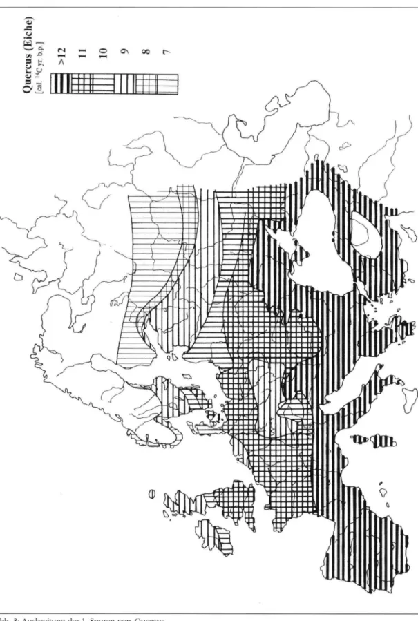 Fig. 3: Spreading of the first traces  o f Quercus. 