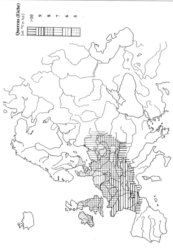 Abb. 4: Massenausbreitung von Quercus. 