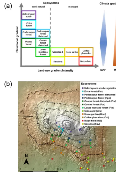 Figure 1. Geographical distribution of investigated ecosystems:(a) along the elevational and land-use gradient