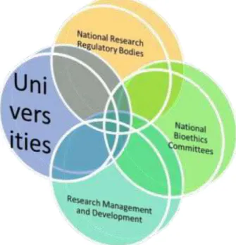 Fig 1: Model for Policy Development and Regulation of Research    