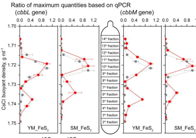 Figure 5. Quantitative distribution offor each DNA gradient to the maximum quantity for each treatment