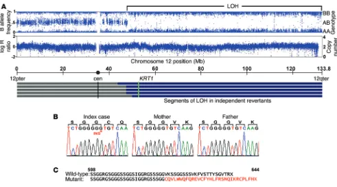 Figure 2. LOH mapping of the IWC-II locus and identification of a de novo mutation in KRT1