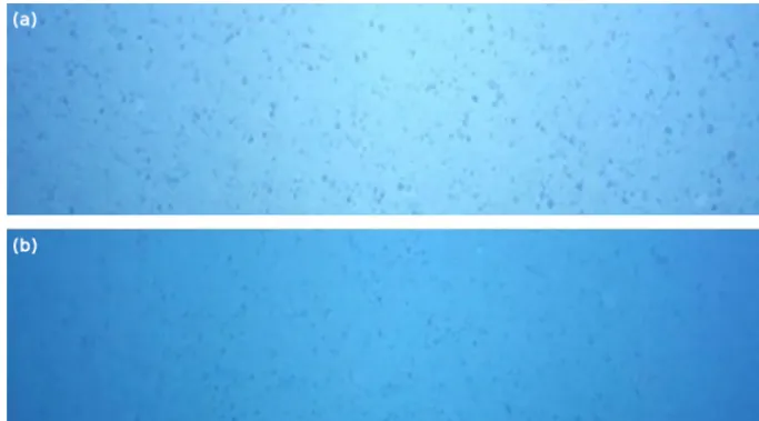 Figure 9. (a) The spatial distribution of median Mn-nodule size (in cm2). (b) The estimation of median Mn-nodule size in subarea b andmainly in its southern part has been probably affected by the nonconstant altitude of the AUV