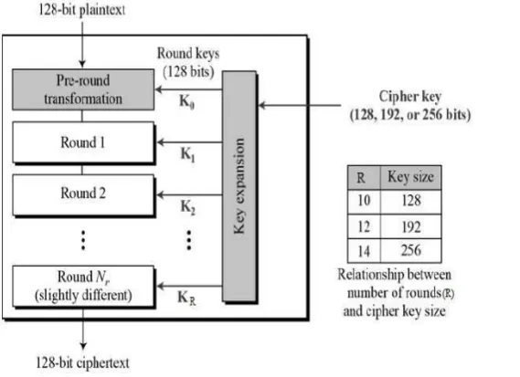 FIGURE 2: AES STRUCTURE 