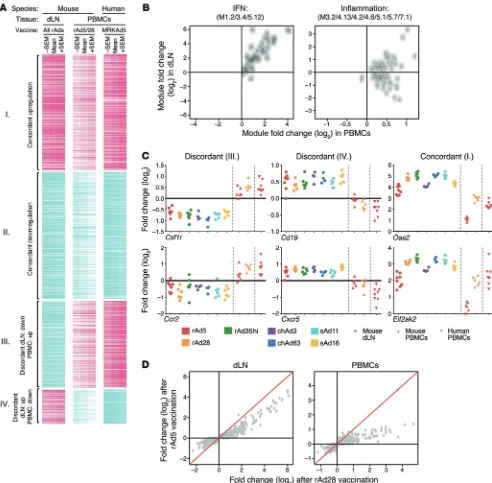 Figure 8. Comparison of local (dLNs) and systemic (PBMCs) innate gene activation. (A) Heat map of 818 genes significantly responsive to rAd vaccination in dLNs or PBMCs, for mice or humans, at 24 hours after vaccination