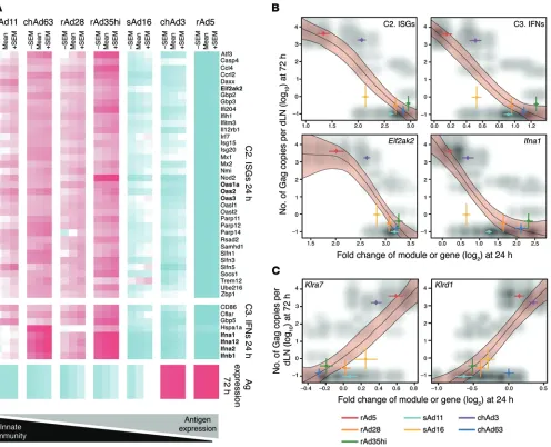 Figure 9. Correlation of Ag expression with innate gene expression. (A) Heat map representation of genes from module C2 and C3 that exhibit differential regulation at 24 hours that is significantly negatively associated with Ag expression at 72 hours after