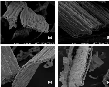 Figure 7. Representative scanning electron micrographs of moss tissues before (a, c) and after (b, d) incubation