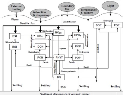 Figure 2. Conceptual framework for the RCA model with a sediment ﬂux module (Zhang and Li, 2010)