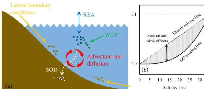 Figure 3. (a) Schematic diagram illustrating the mixing process of dissolved oxygen in the estuary and (b) schematic plot for dissolvedoxygen versus salinity (the solid black curve line) during mixing in the estuary