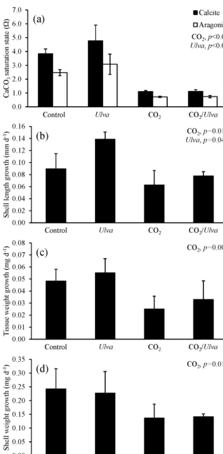 Figure 4. Experiment with large juvenilewithout the presence of Crassostrea virginica ex-posed to ambient and elevated concentrations of CO2 with and Ulva