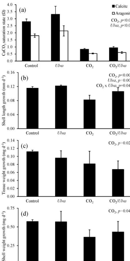 Figure 5. Experiment with small juvenileweight. Columns represent meansmain treatment effects (COwithout the presence ofwas based on Argopecten irradians ex-posed to ambient and elevated concentrations of CO2 with and Ulva