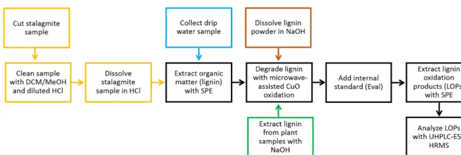Figure 1. Process chart of the overall sample preparation procedure. A detailed description of the individual steps is given in Sect