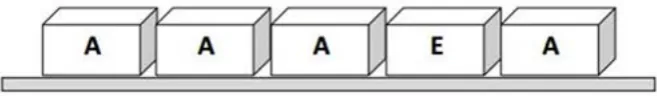Figure 2. Example of TDRI’s item 1 (from the first developmental stage assessed).                  