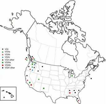 Figure 2 Cryptococcus gattii genotype frequency in Canada versus the United States, based upon 124 and 169 human culture confirmed cases diagnosed to 2007 and 2012, respectively.Note: Data from Galanis et al25 and Lockhart et al.39Abbreviation: BC, British Columbia.