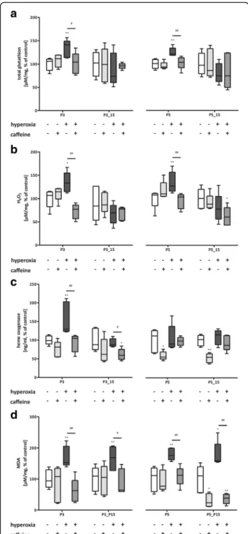 Fig. 4 Acute hyperoxia resulted in an adequate oxidative stress response and caffeine reduced the response