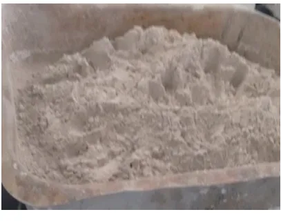 FIGURE 1  FLY ASH 