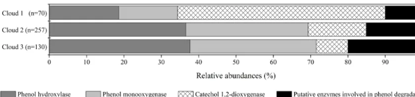 Figure 2. Relative abundance of transcripts in cloud waters encoding for enzymes involved in phenol degradation pathways