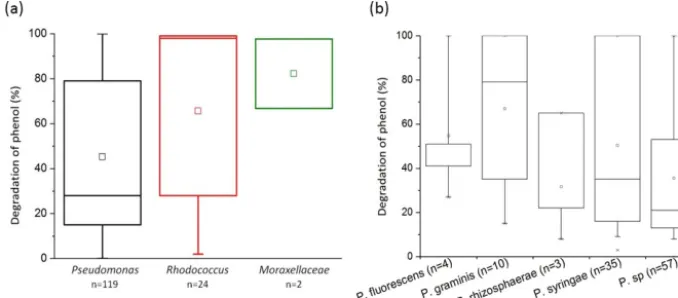 Figure 4. Biodegradation of phenol by bacterial strains isolated from cloud waters. Results are expressed as the percentage of phenolbiodegradation measured by HPLC after 5 days of incubation at 17 ◦C