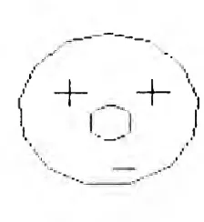 Fig. 5.2: Sally and Janet - Clown's Face 
