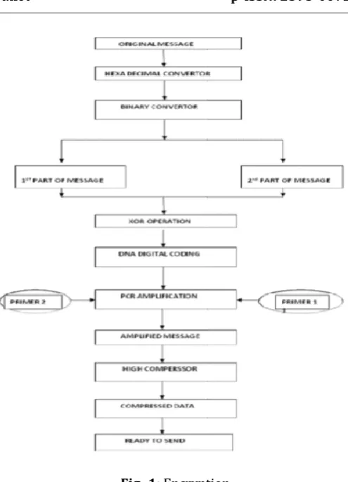 Fig -1: Encryption 