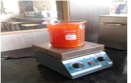 Fig 1 Magnetic Mixer 
