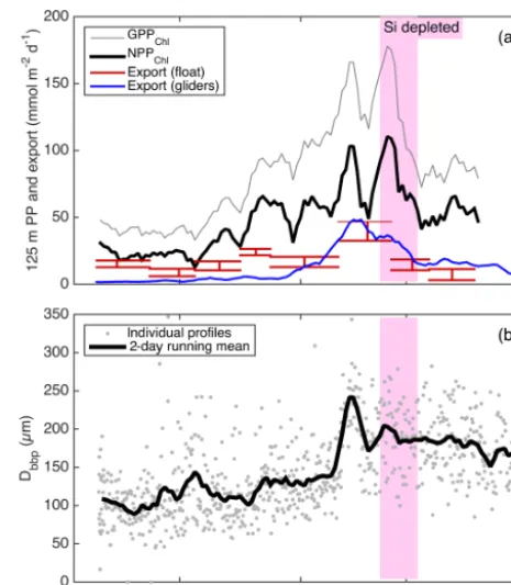 Figure 10. Estimates of sources and sinks of organic carbon inte-grated over the top 60 m: GPPChl a and NPPChl a and sinking par-ticle export (this study), as well as NCP and loss due to the sum ofsinking particle export and net DOC production and sinking 