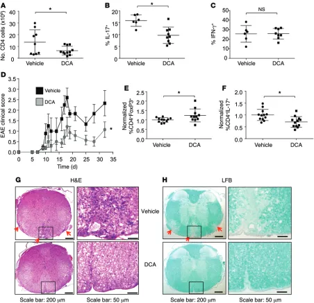 Figure 8. PDHK is selectively required for Th17, but not Treg, expansion and function in vivo