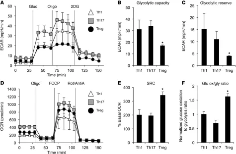 Figure 2. Teffs and Tregs utilize different metabolic pathways and have distinct fuel capacities