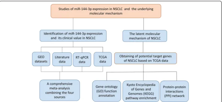 Fig. 1 The flow diagram of this study. Note: The workflow indicates that a comprehensive meta-analysis was performed to confirm microRNA- microRNA-144-3p expression in non-small cell lung cancer and that a bioinformatics analysis was conducted to investiga