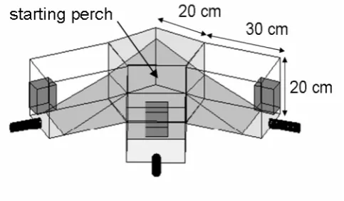 Fig. 1.1 Schematic drawing of the 3AFC setup used for the psychophysical experiments. The dark grey boxes represent the loudspeakers