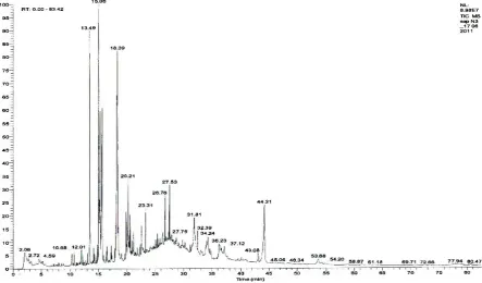 Figure 6. Full chromatogram of the sample No. 3 and the closeup with the ethyl eicosapentaenoate (peak 28)