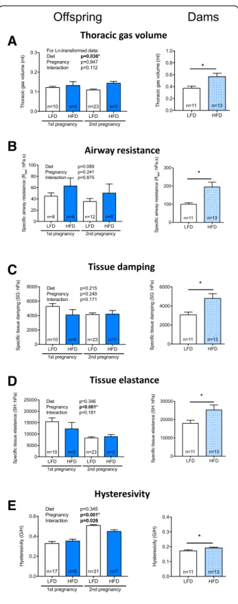 Fig. 4 The lung volume of offspring and dams was increased by maternal consumption of a high fat diet