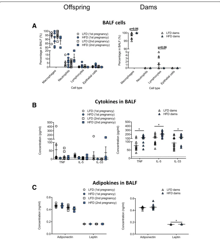 Fig. 6 Increased TNF, IL-5 and IL-33 are observed in the lungs of dams fed a high fat diet, but not their offspring 
