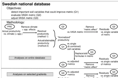 Figure 2. Objectives and methods followed in the current paper. PRE refers to a regression model of productivity vs