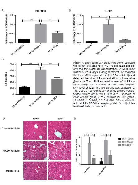 Figure 4. Short-term OCA treatment down-regulated the mRNA expressions of NLRP3 and IL-1β and de-creased the blood UA concentration in MCD mice model