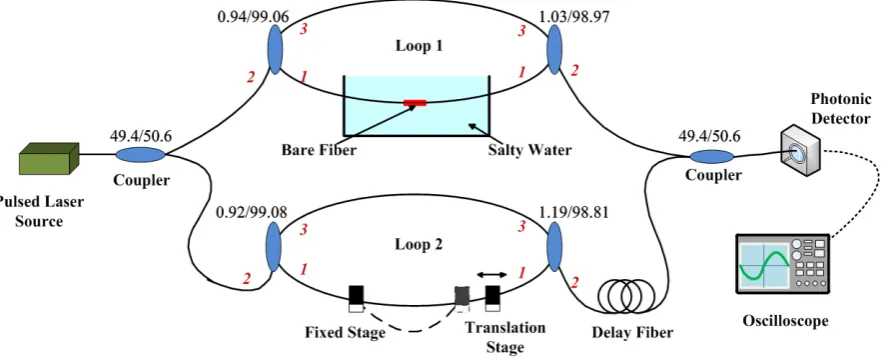 Figure 1. Schematic diagram of the multi-function sensor system. 