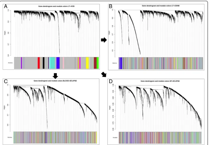 Fig. 1 Co-expression network dendrograms in the 4 datasets. (a) L1 co-expression network, with twenty-one modules with a minimum module size of 30