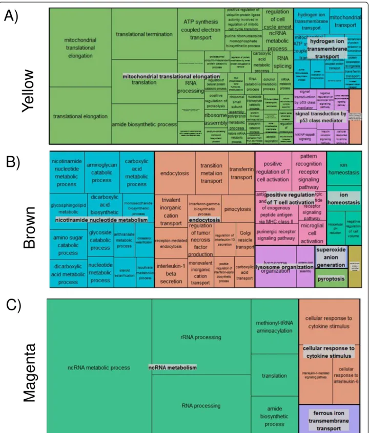 Fig. 3 Visual summary of the ontologies in each of the three interesting modules (Treemap in REVIGO (http://revigo.irb.hr/) [22]): (a) Yellow, (b) Brown, (c) Magenta