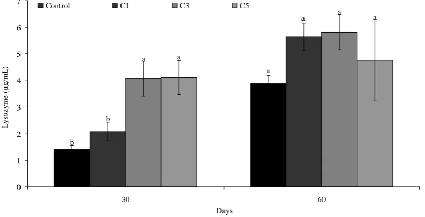 Figure 2. Changes of lysozyme activity in rainbow trout fed with carvacrol diets as compared to control diet on days 30 and 60