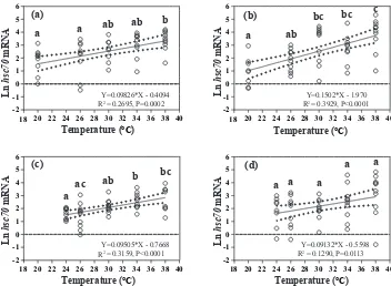 Figure 4. Effects of heat-shock temperature on the expression ofand 1000 ppm,gene expression ofdifferences in the level of hsc70 mRNA in limpets acclimated at (a) 20 ◦C and 400 ppm, (b) 20 ◦C (c) 24 ◦C and 400 ppm, and (d) 24 ◦C and 1000 ppm
