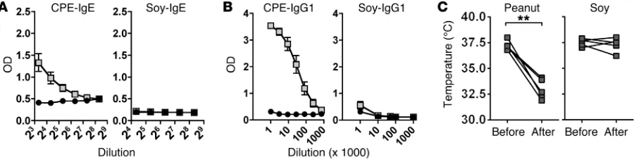 Figure 1. Adjuvant-independent sensitization to peanut through epicutaneous exposure. Mice were topically exposed to 1 mg CPE or soy extract weekly for 6 weeks