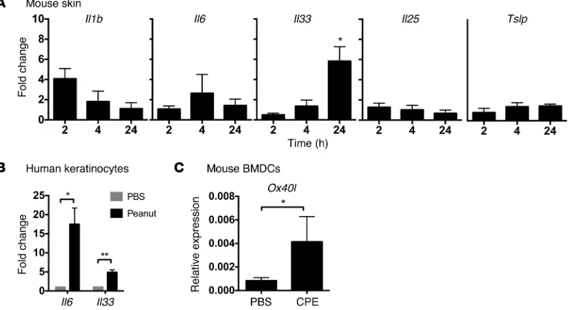 Figure 3. Innate response to epicutaneous peanut exposure. (A) Mice were exposed to peanut or PBS as control on the ear, followed by RNA isolation and RT-PCR for cytokines