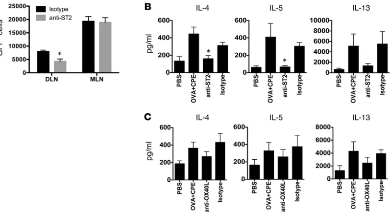 Figure 7. Peanut induces Th2 polarization through ST2-mediated effects on skin-draining DCs
