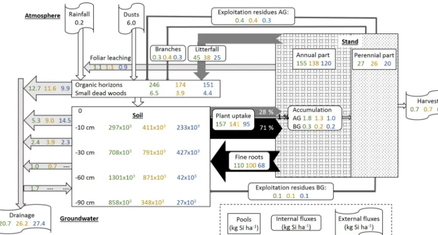 Figure 6. Summary scheme of Si cycling in plots DC, EC and RL at our study forest site, including (i) pools of Si in the biomass, (ii) internalSi ﬂuxes, i.e