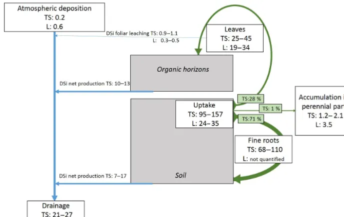 Figure 7. Summary scheme of the main ﬁndings of this study (TS) and comparison with other studies (L; Bartoli, 1983; Cornelis et al.,2010a; Sommer et al., 2013)