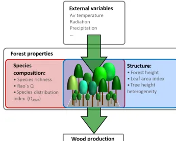 Figure 1. Overview of drivers inﬂuencing wood production. External variables in this study are temperature, radiation and precipitation.distribution indexForest properties are divided into two groups: species composition properties (e.g